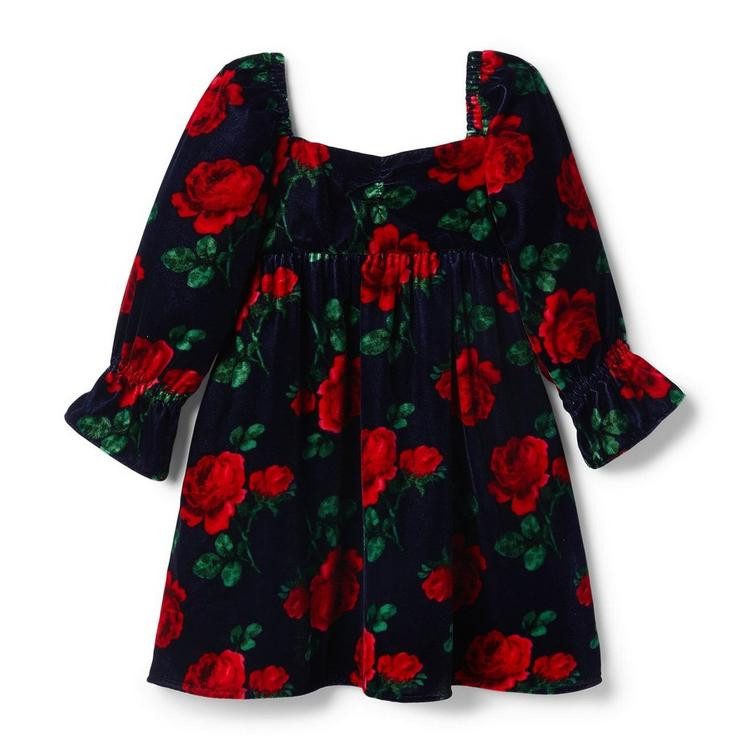Rose Velvet Dress | Janie and Jack