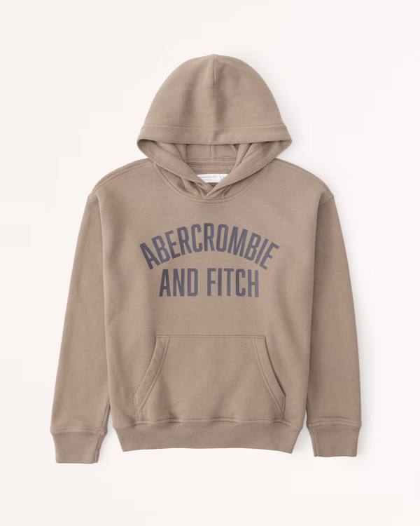 print logo popover hoodie | Abercrombie & Fitch (US)