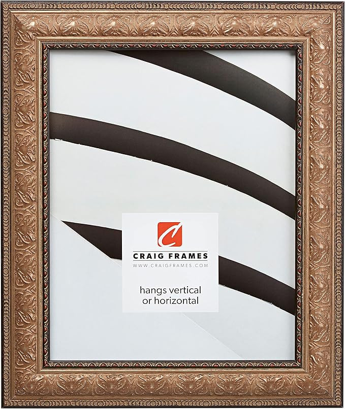 Craig Frames Medici, 16x20 Picture Frame, Antique Gold | Amazon (US)