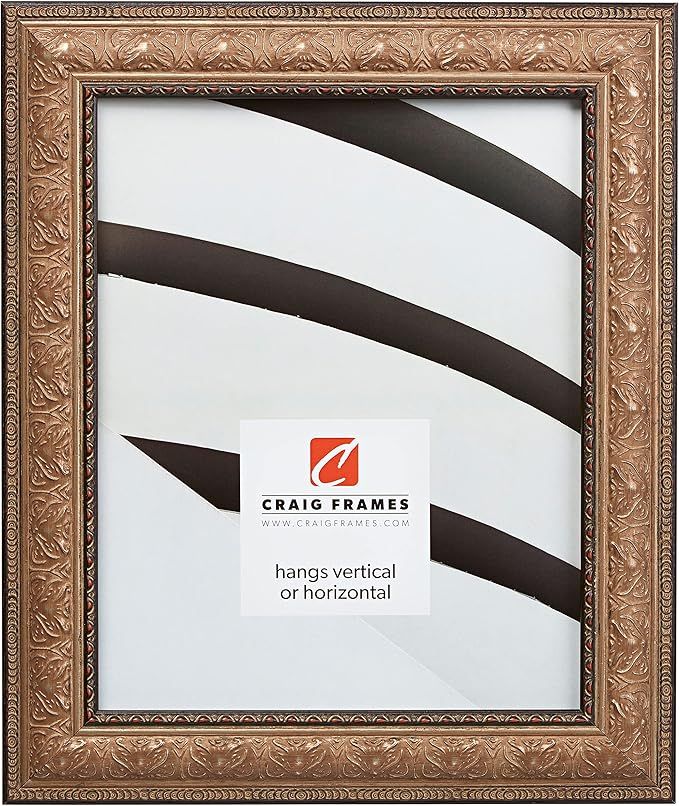 Craig Frames Medici, 16x20 Picture Frame, Antique Gold | Amazon (US)