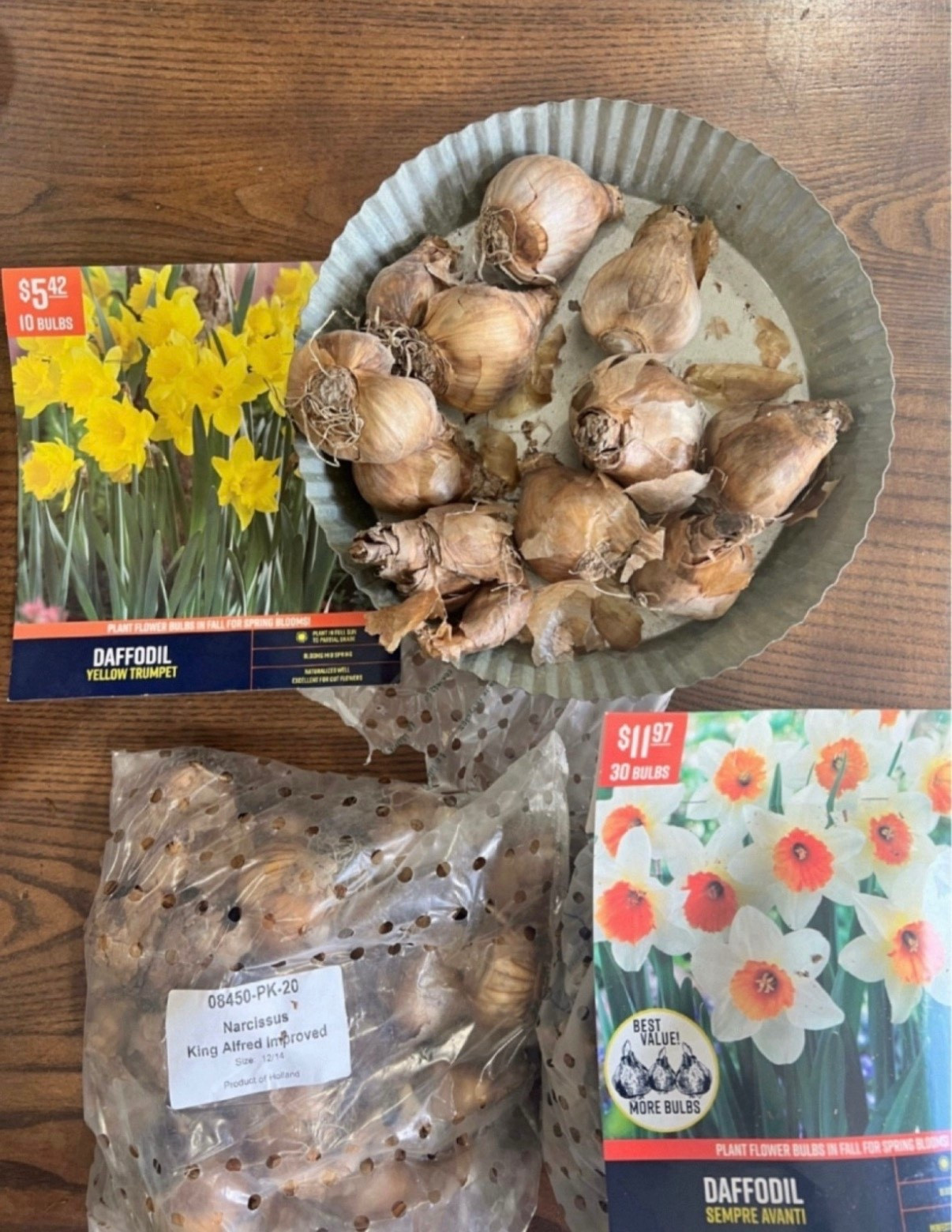 My go-to bulbs for the garden!



#LTKSpringSale #LTKSeasonal #LTKHome