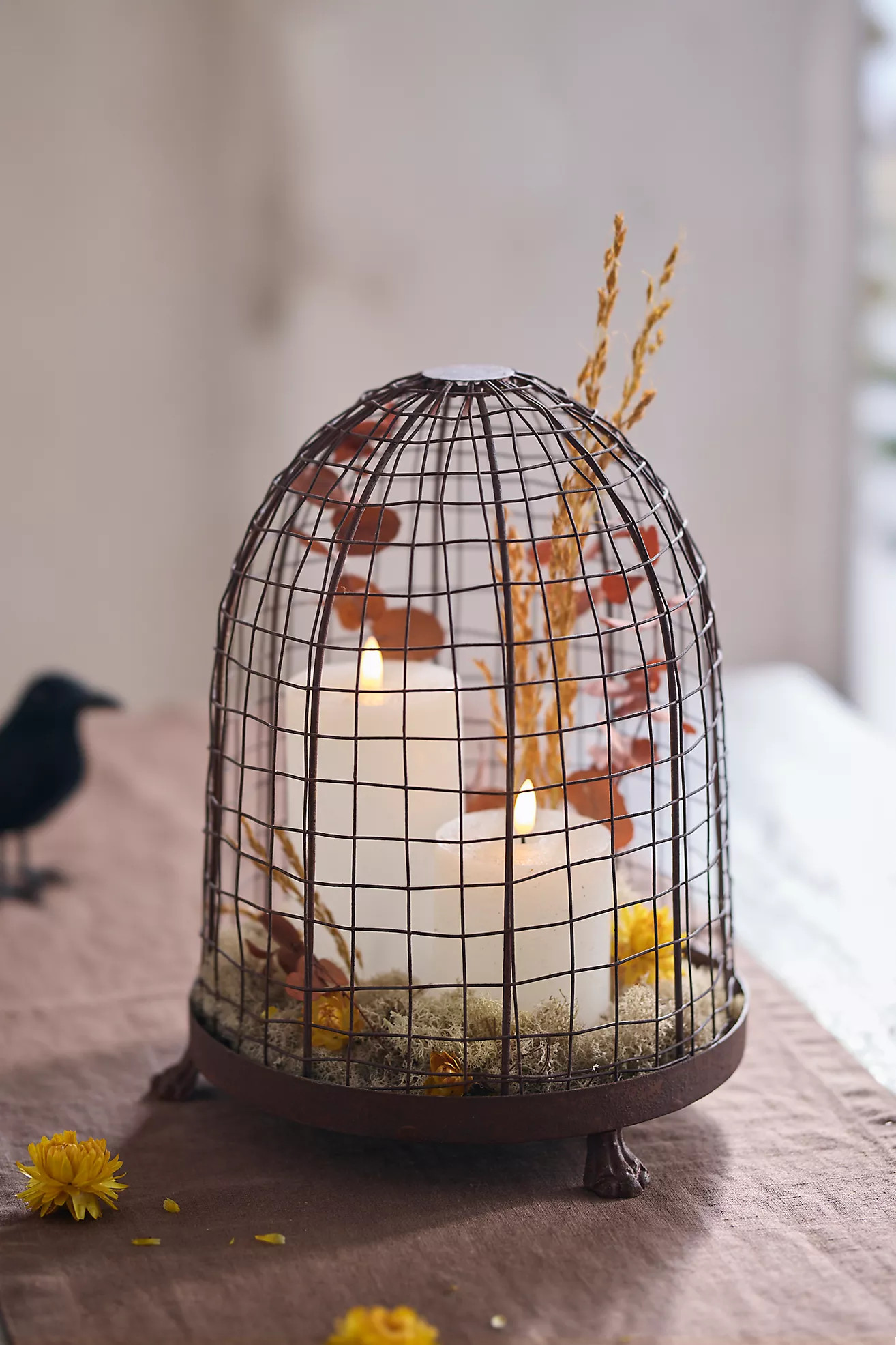 Dome Wire Cloche | Anthropologie (US)