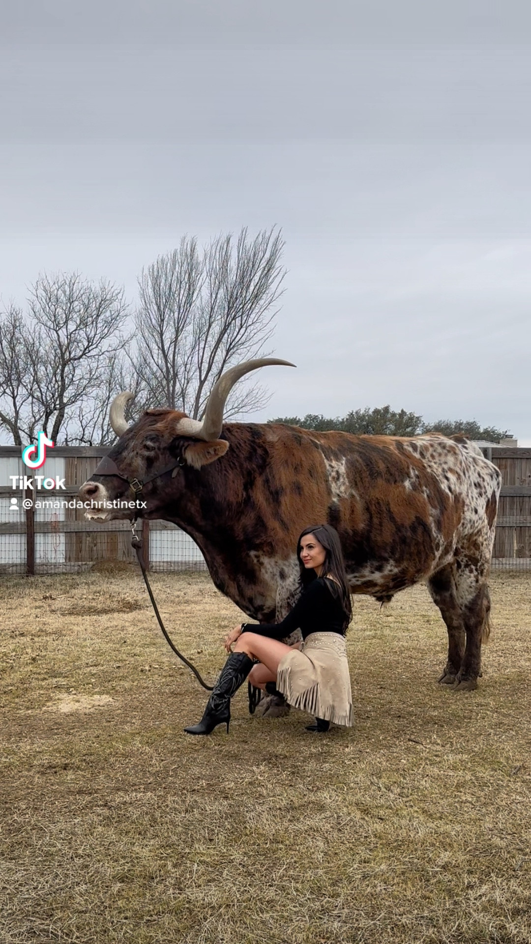 A moment for the Maryana West boot 🖤
On sale now!

#LTKstyletip #LTKshoecrush #LTKsalealert
