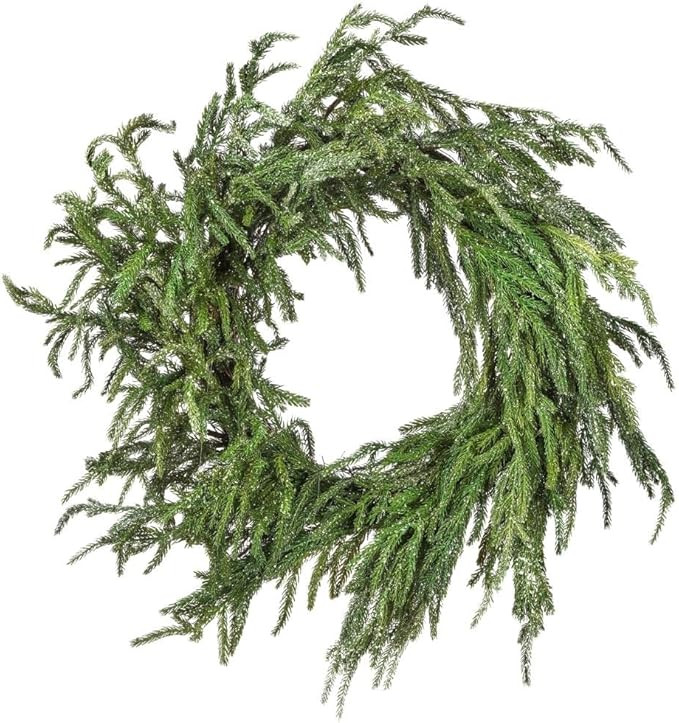 24" Iced Garden Norfolk Wreath | Amazon (US)