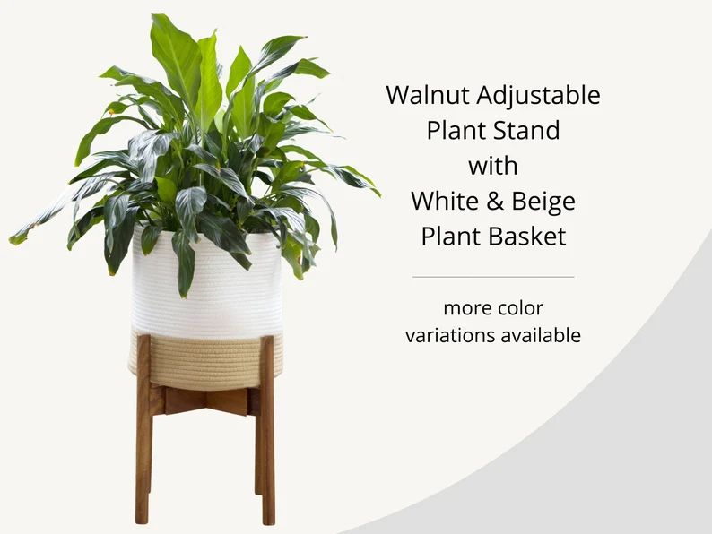 Walnut Plant Stand & Plant Basket White Beige | Plant Basket Large | Planter with Stand | Modern ... | Etsy (US)