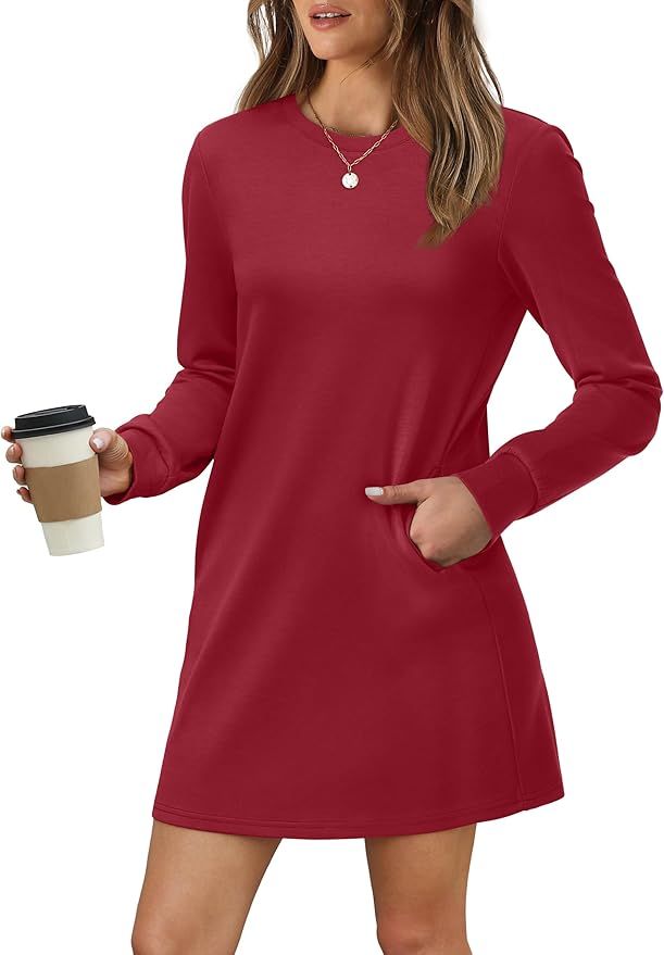 WIHOLL Dresses for Women Long Sleeve Casual Loose Fit Fall Fashion Crewneck Mini Dress with Pocke... | Amazon (US)