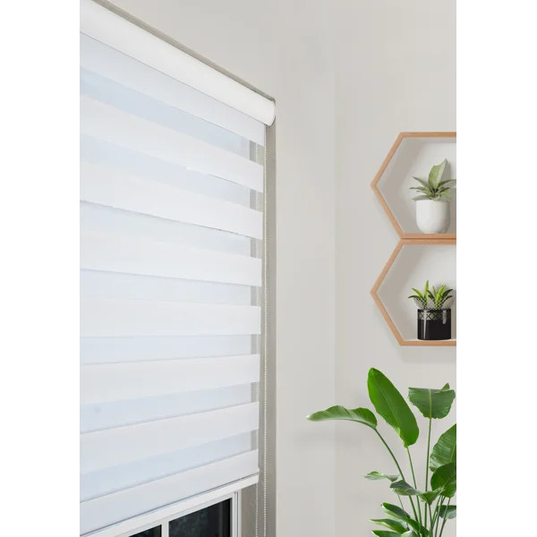 Ahyaan Sheer Roller Shade | Wayfair North America