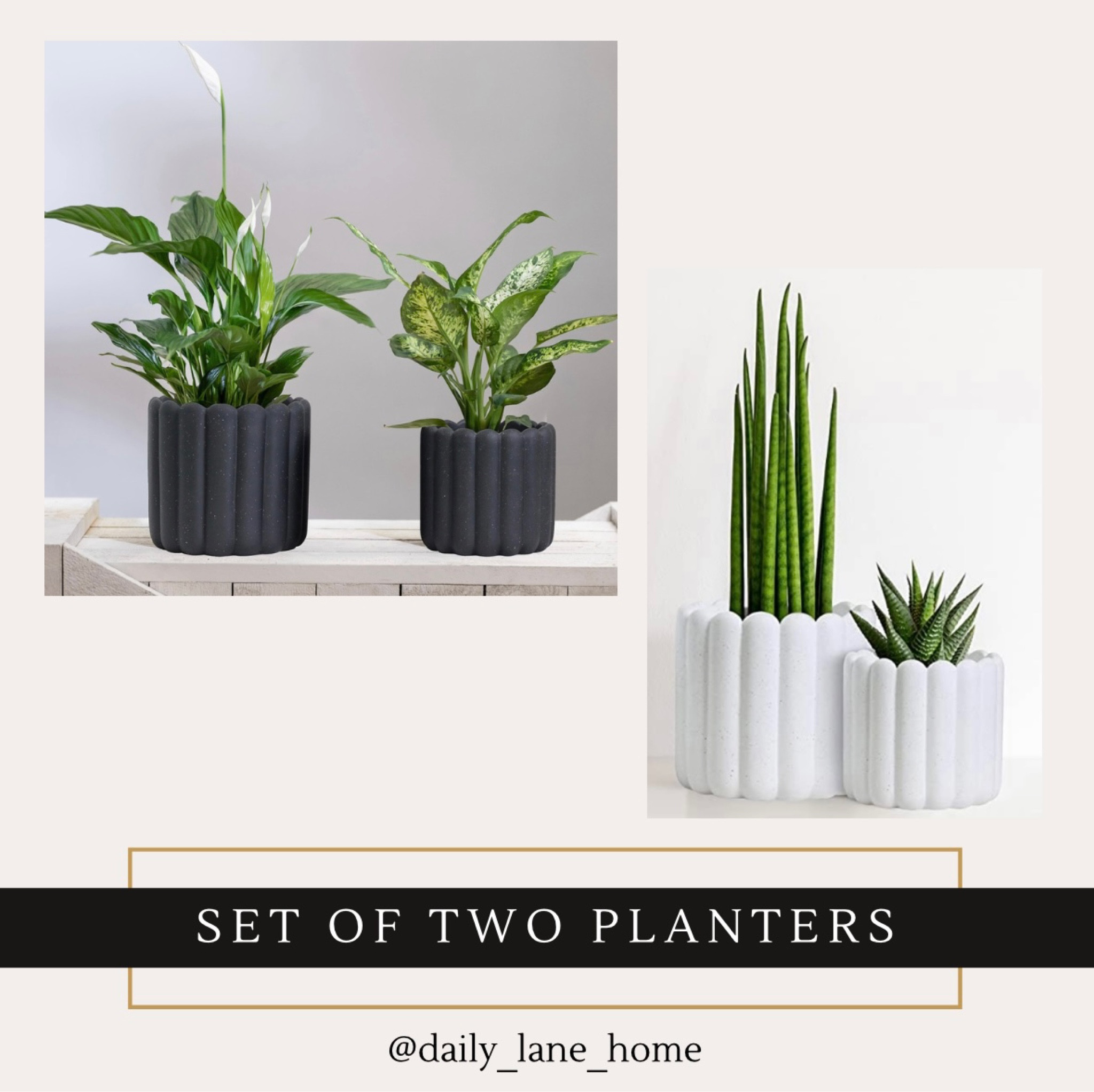 How cute are these scalloped top planters! Come in a set of two, two sizes!

Affordable, modern, vase, black and white, matte, Amazon home. 

#LTKFind #LTKunder50 #LTKhome