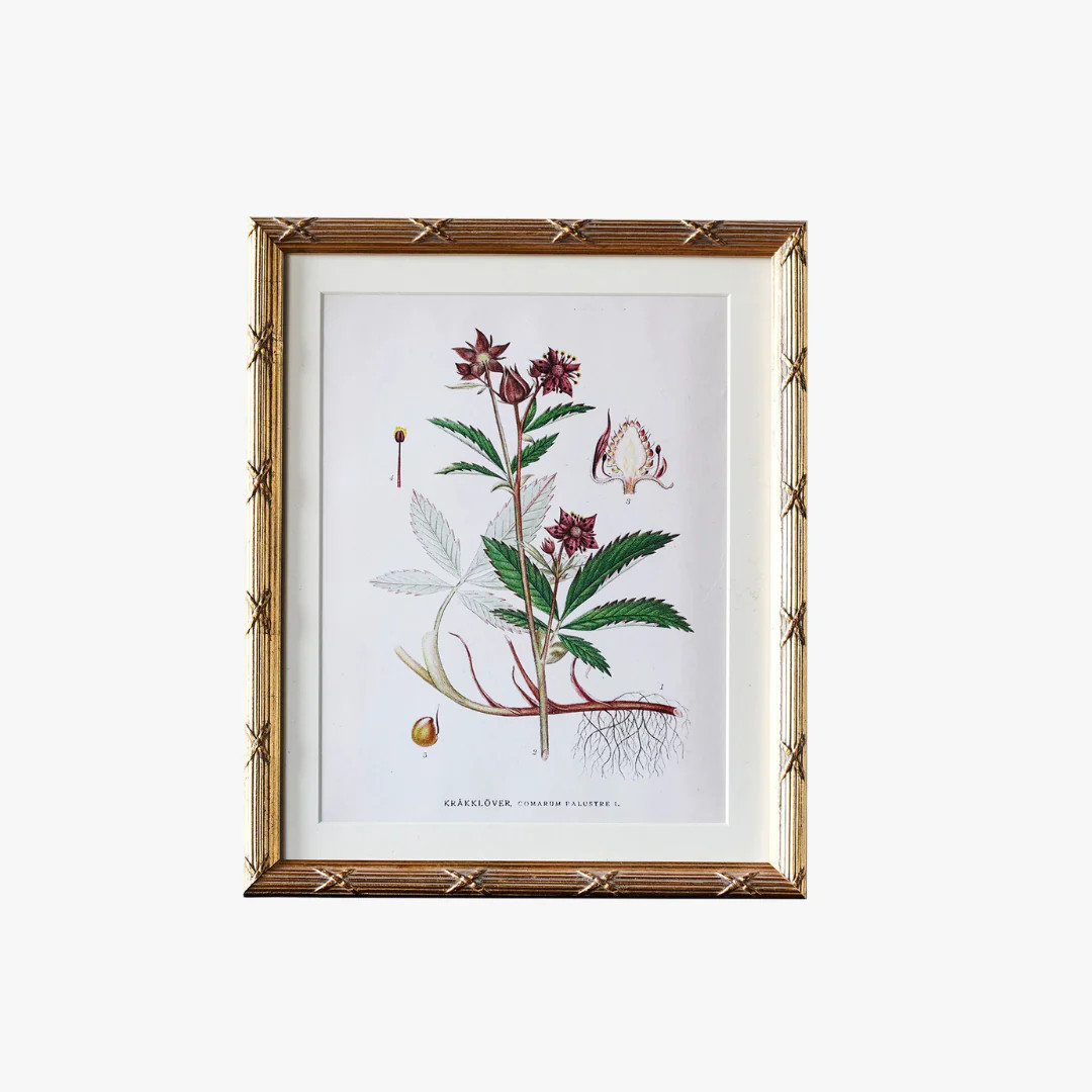 Avondale Matted Gold Frame | Dear Keaton