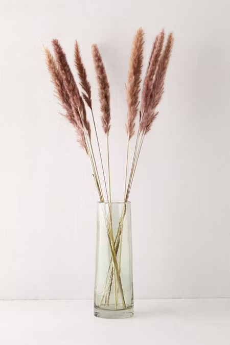Dried Pampas Grass Bunch | Urban Outfitters (US and RoW)