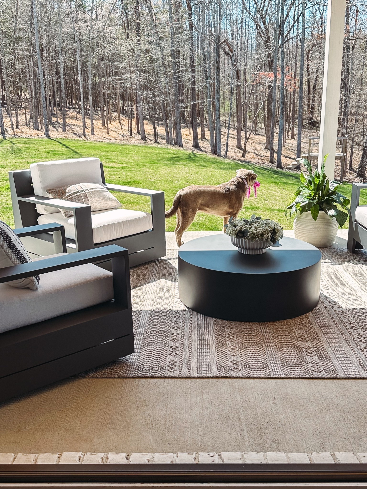 Outdoor seating, patio furniture, black patio furniture, outdoor chairs, outdoor swivel chairs, outdoor coffee table, outdoor rug, neutral rug, outdoor planter, lumbar pillowws