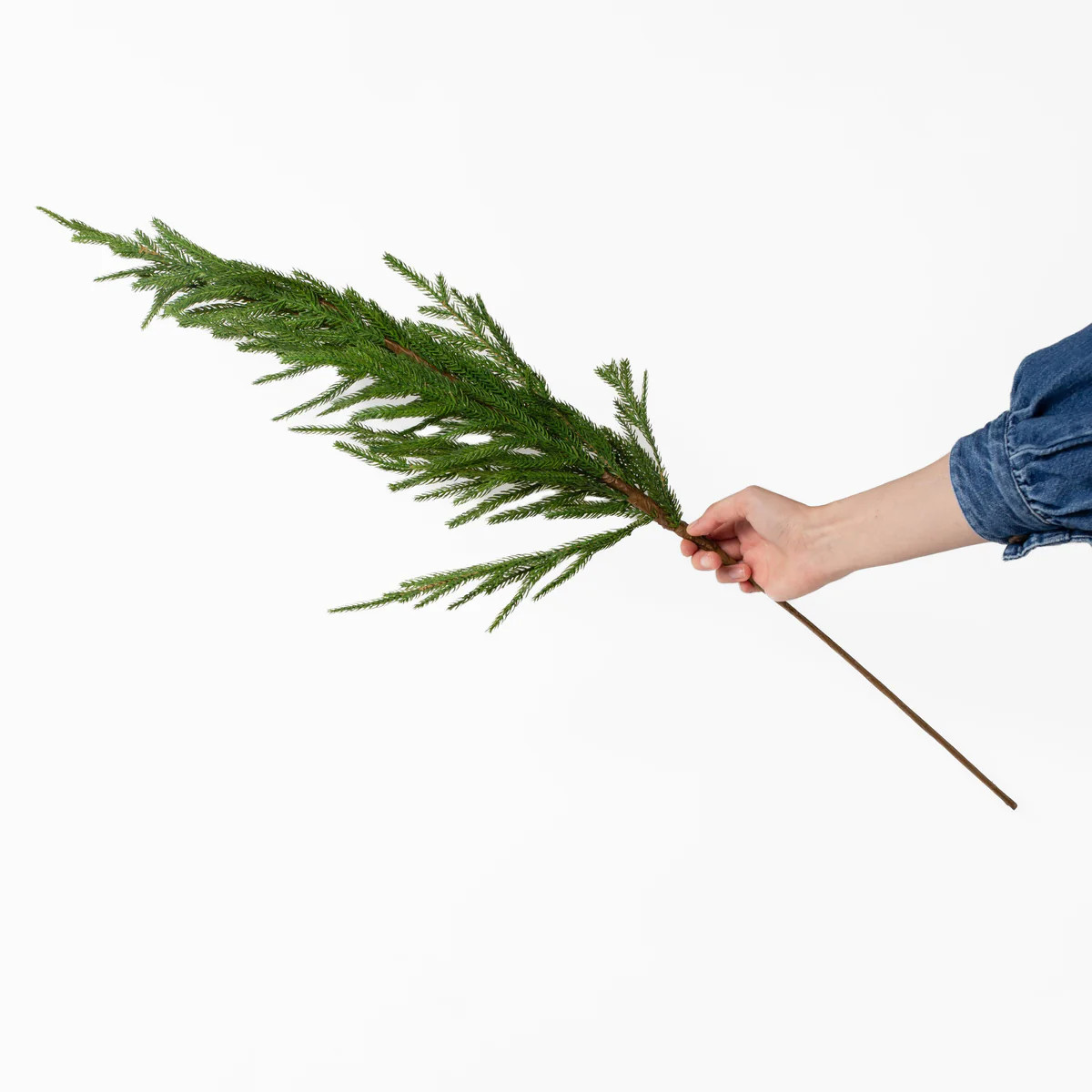 Fir Spray 36" | Stoffer Home