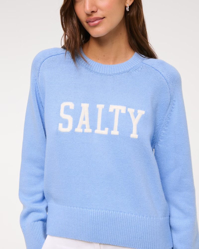 The A&F Madeline Salty Crew Sweater | Abercrombie & Fitch (US)