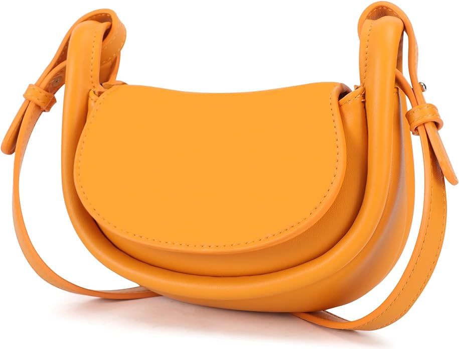 Designer Shoulder Handbags for Women, Mini Crossbody Purse Bag, Small Trendy Clutches wth 2 Strap... | Amazon (US)