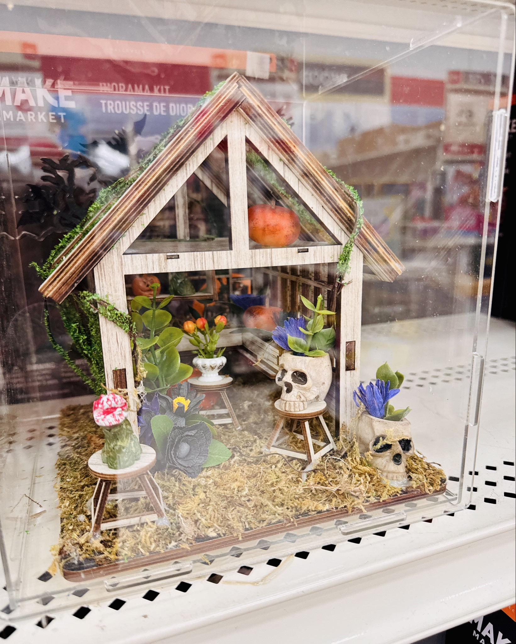Book Nook Crafts. Add a little spooky decor to your book shelves by putting together these diorama kits! Currently on sale for under $20! 

Home, fall home decor, Fall Decor, book club, book nook, apothecary, Diorama Kit,  spooky miniature scenes, Michaels crafts, make market, spooky crafts, cozy crafts, diy 

#LTKSeasonal #LTKFallSale #LTKHome