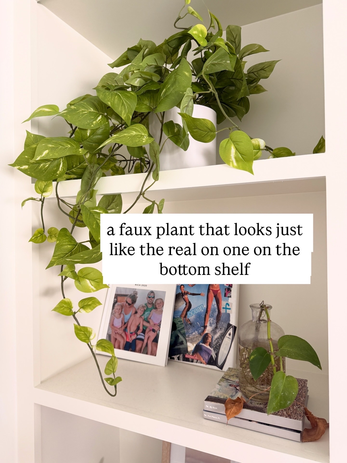 A faux plant that looks just like the real one 

 #LTKootd #LTKHome #LTKSaleAlert