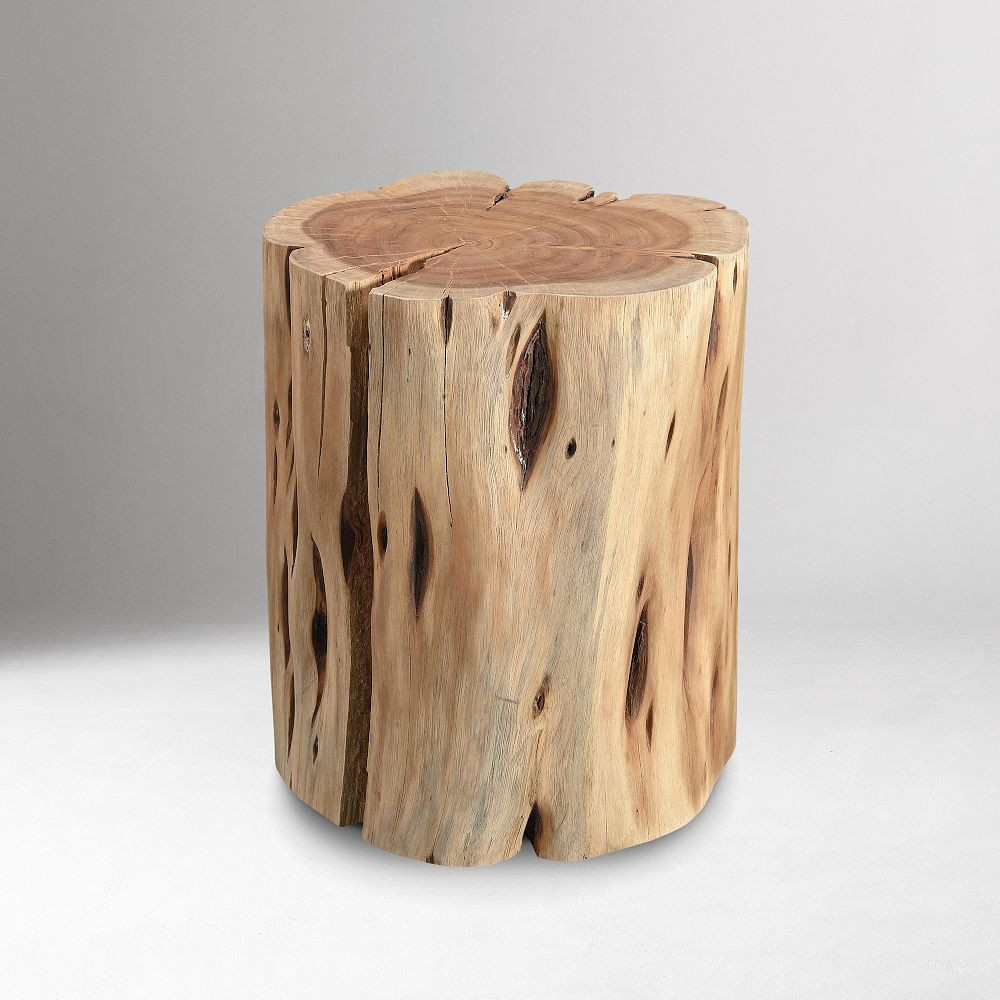 Solid Wood Stump Side Table (13") | West Elm (US)