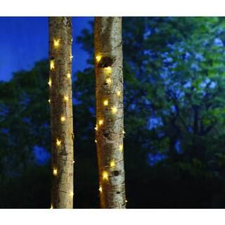Hampton Bay 16 ft. Battery Powered 50 Bulb Copper Wire Indoor/Outdoor Fairy String Light-NXT-1010... | The Home Depot
