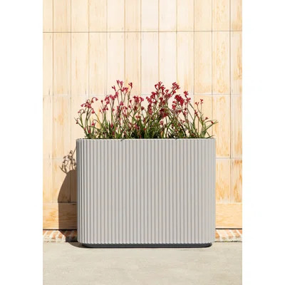 Veradek Demi Series Span Planter | Wayfair North America