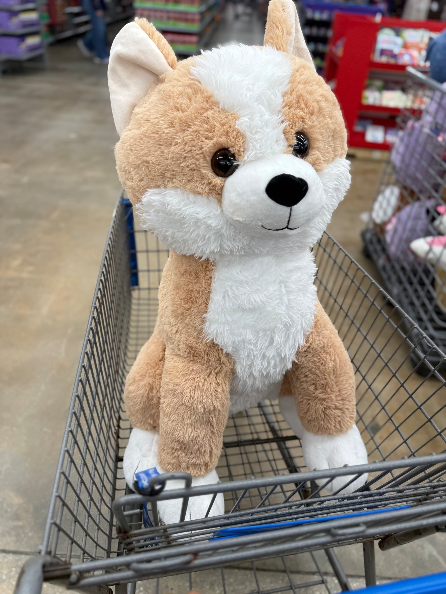 How cute is this Giant Plush Doggie?🐶 🥰

#LTKGiftGuide #LTKFindsUnder50
