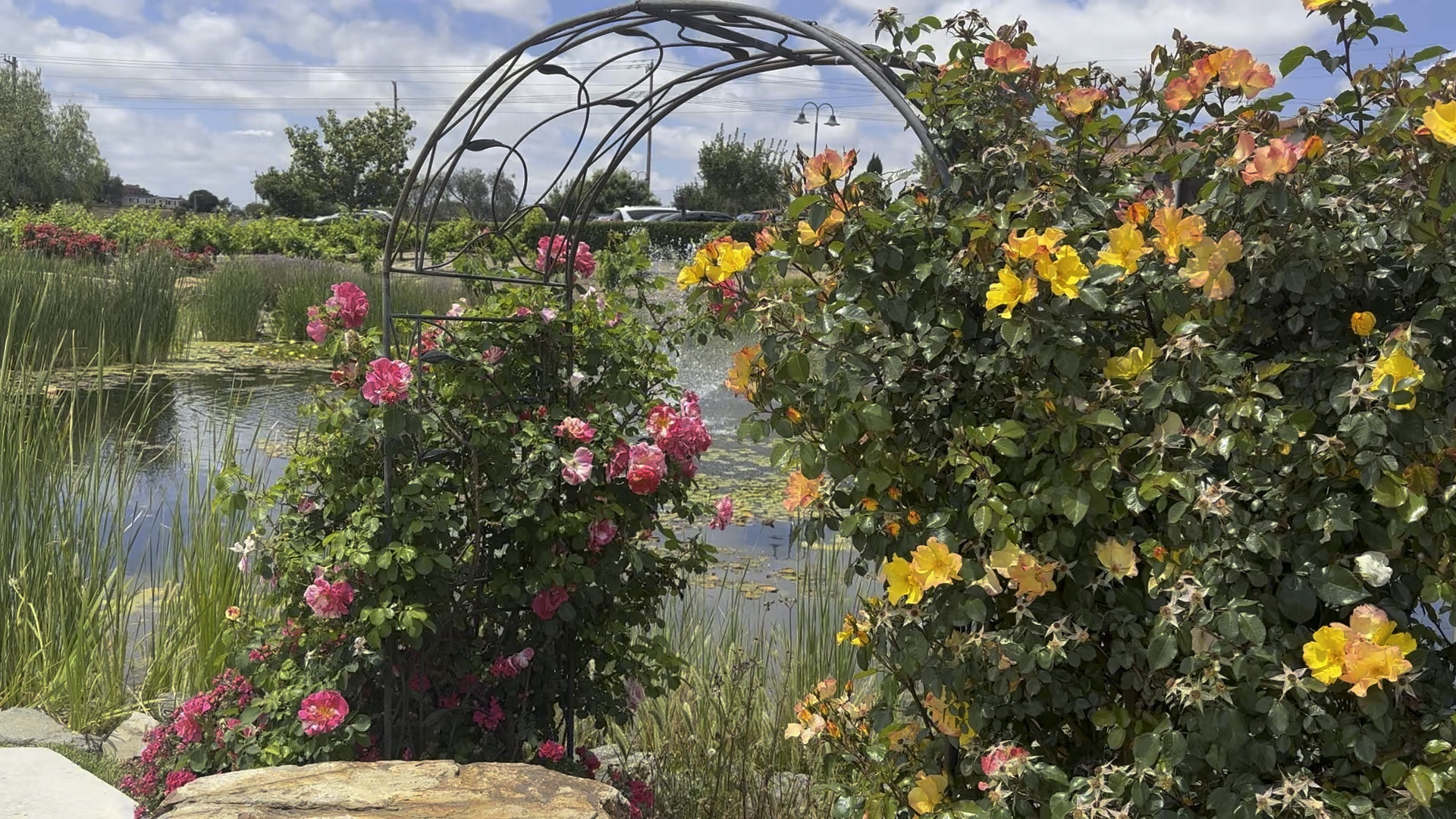 #gardenarbor

#LTKFestival #LTKSeasonal #LTKHome