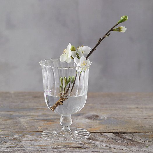 Scalloped Glass Vase | Terrain