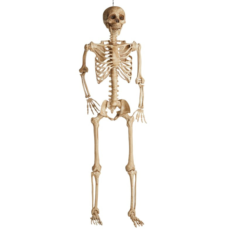 Poseable Halloween Skeleton, 7' | At Home