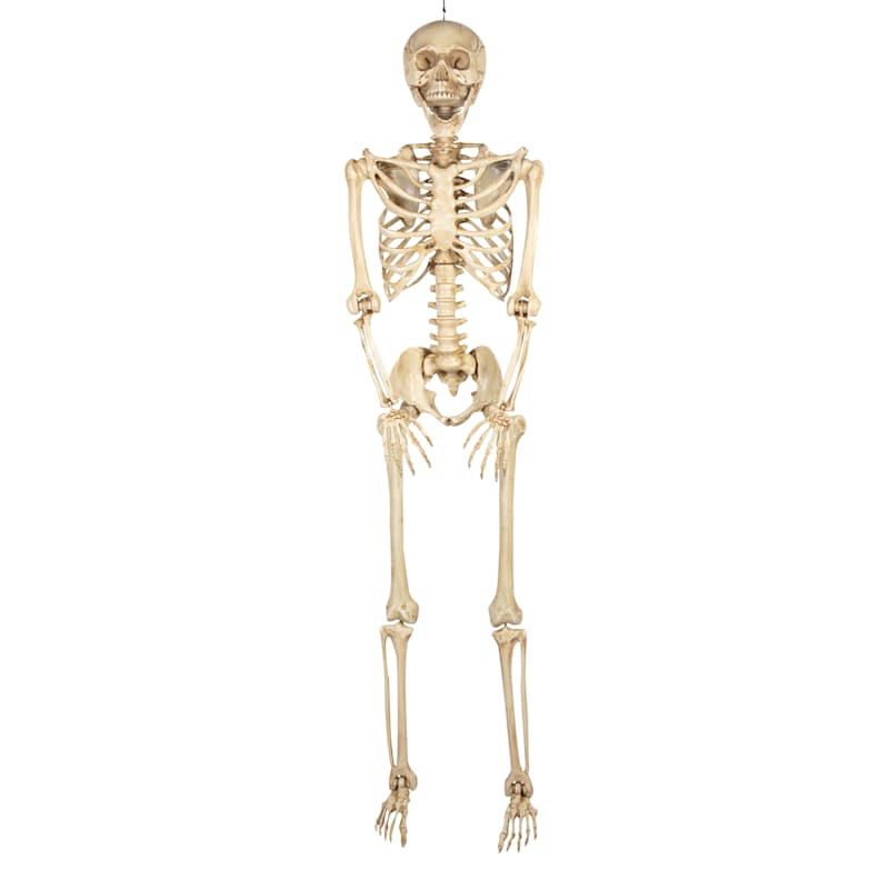 Poseable Halloween Skeleton, 7' | At Home