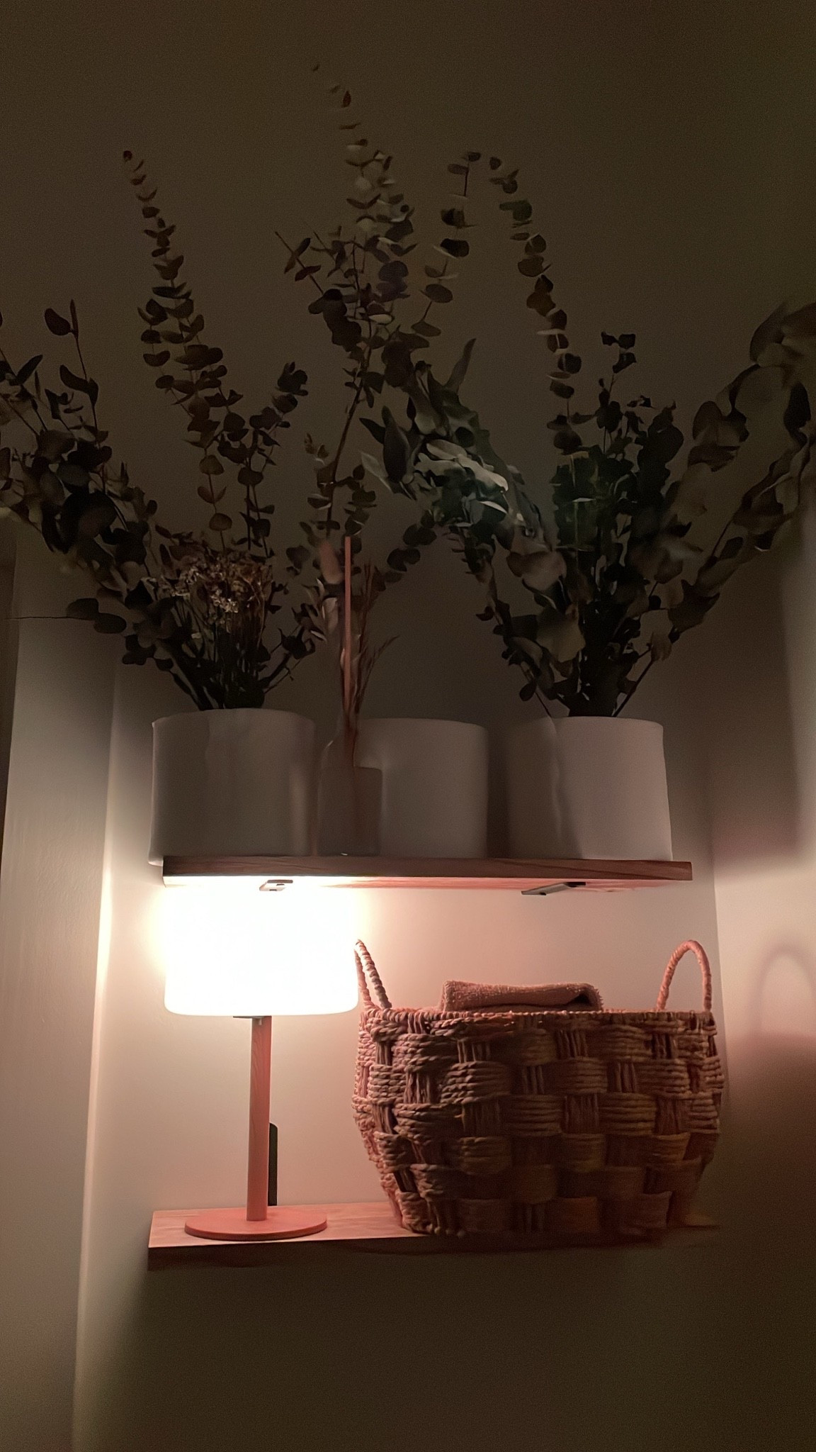 Cozy lamp lit showers every night. One of my best self care upgrades: shower lamp. 

I added some Eucalyptus from trader joes

#LTKselfcare #LTKHome