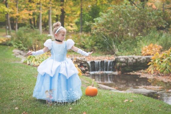 Cinderella Dress for Birthday Costume or Photo Shoot - Etsy | Etsy (US)