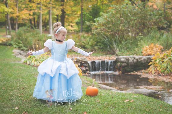 Cinderella dress for Birthday costume or Photo shoot Cinderella dress outfit Birthday dress Cinde... | Etsy (US)