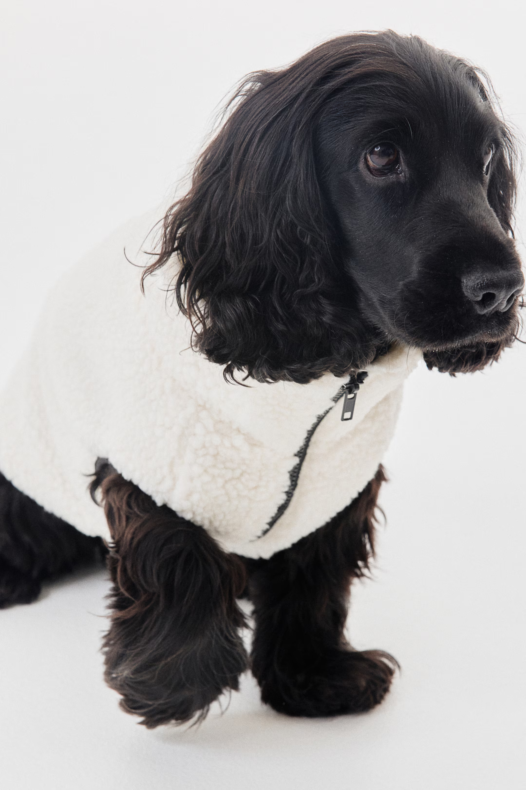 Teddy Fleece Dog Jacket | H&M (US + CA)