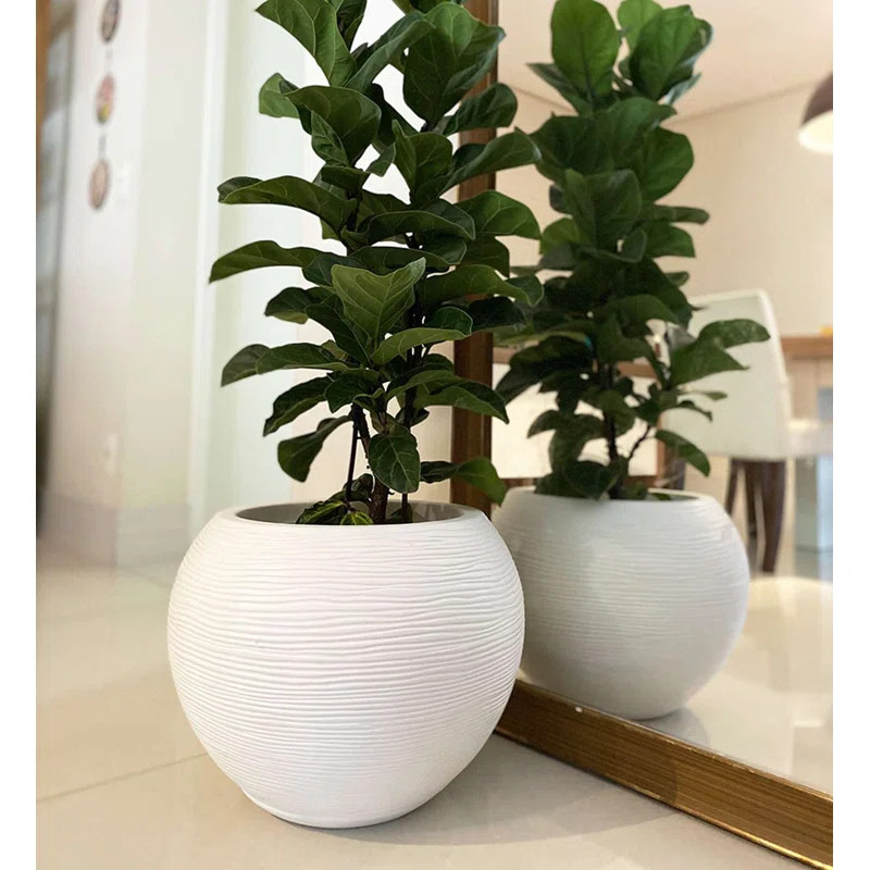 Florence Pot Planter | Wayfair North America