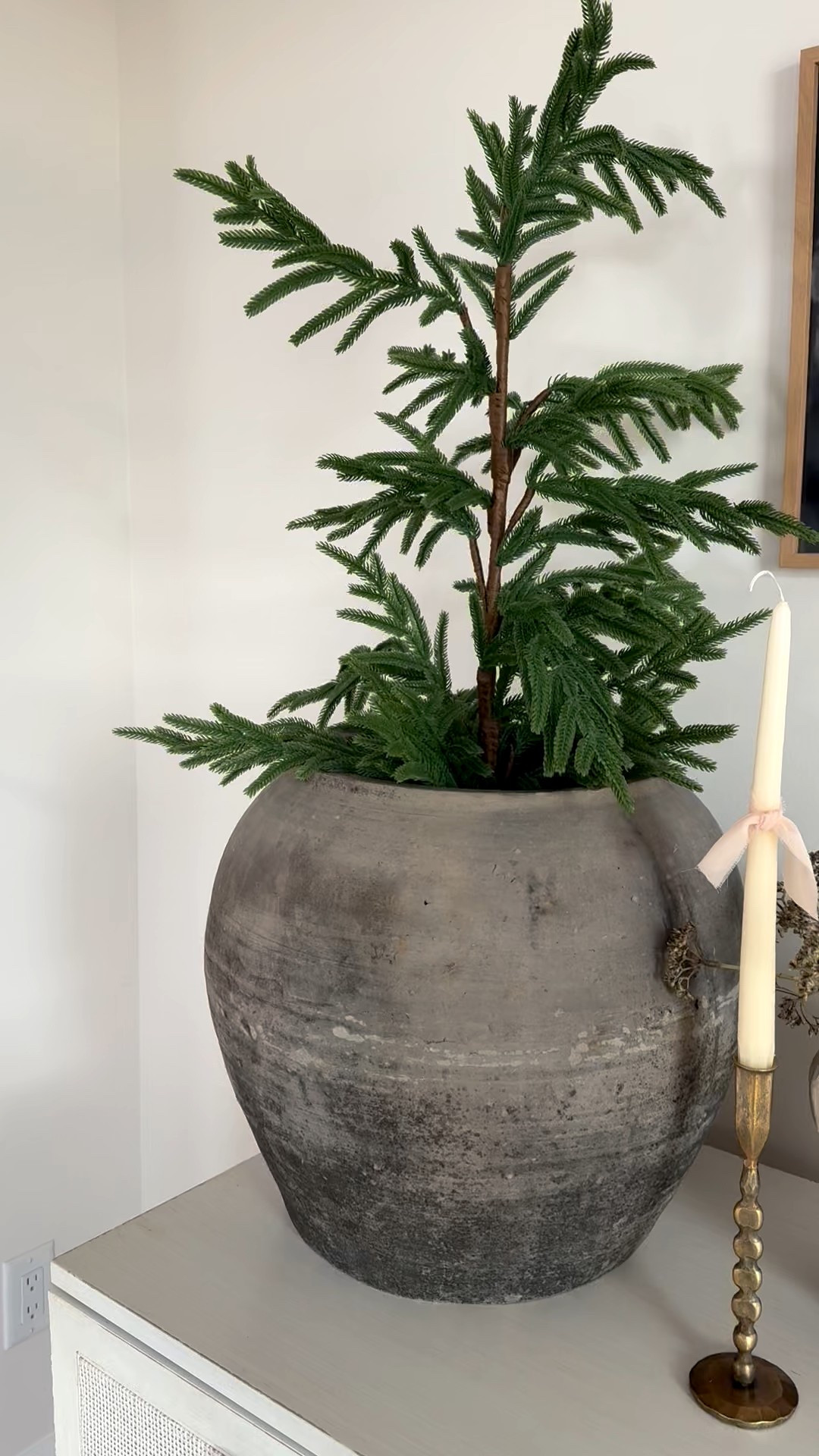 Gorgeous oversized large vintage pot great for decorating and all year round! Add olive tree . Stems, plants, or Christmas toss in your Norfolk pine tree 

#LTKcanada #LTKhome #LTKwinter