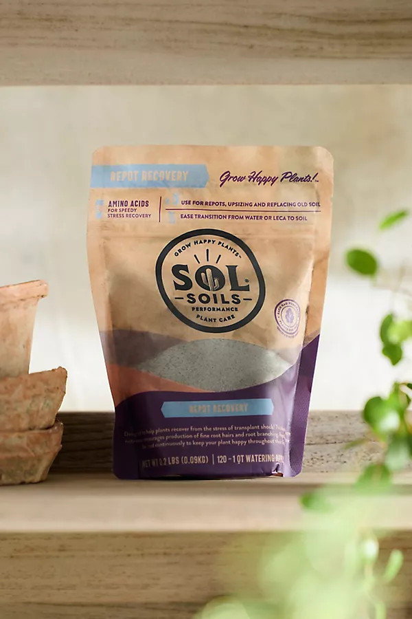 Repot Recovery Amendment | Anthropologie (US)