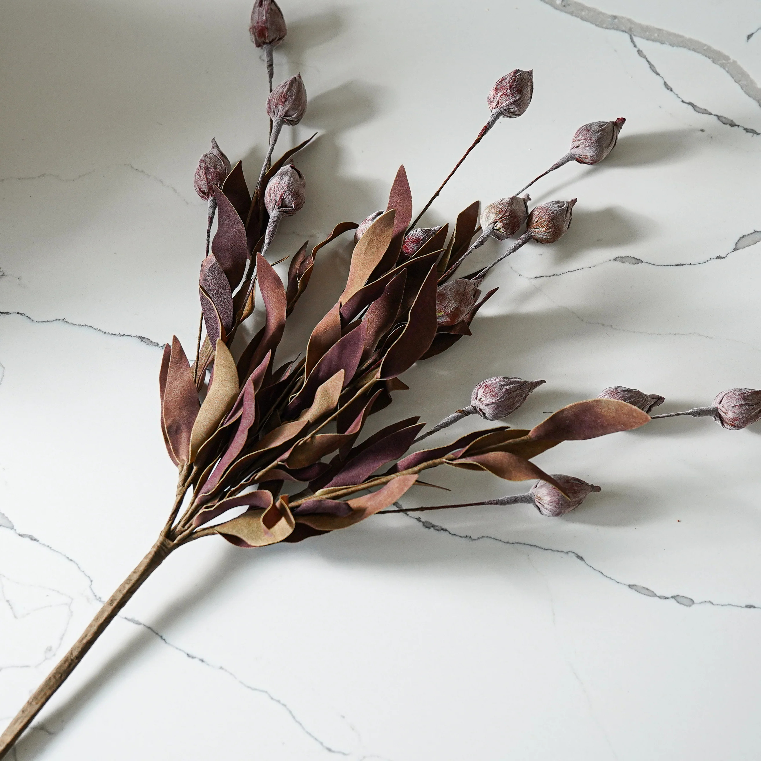 Burgundy Sleepy Catchfly Bush | MJHome