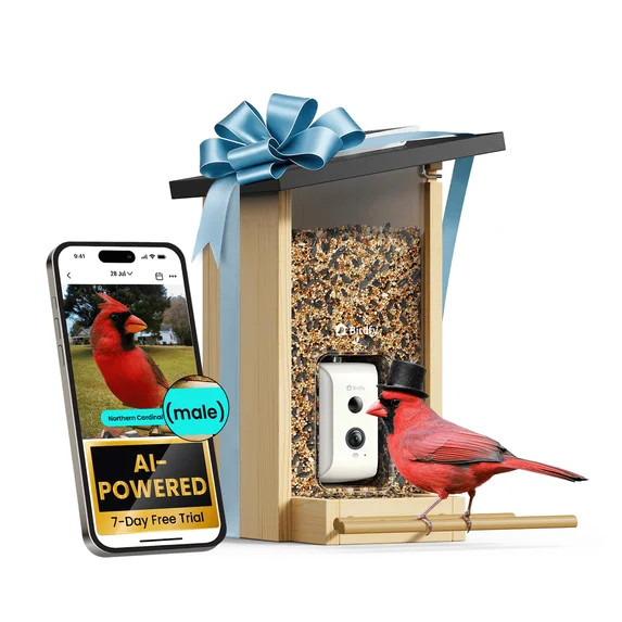 Birdfy Smart Bird Feeder with Camera, Bird Watching Camera with Solar Panel, AI Identify 6000+ Sp... | Walmart (US)