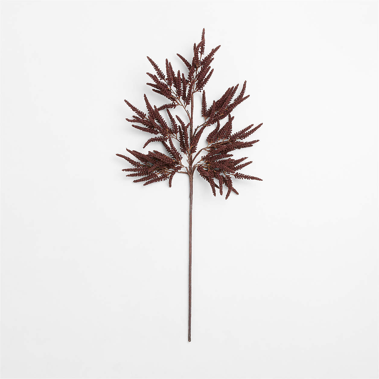 Faux Chocolate Amaranthus Stem 50" + Reviews | Crate & Barrel | Crate & Barrel