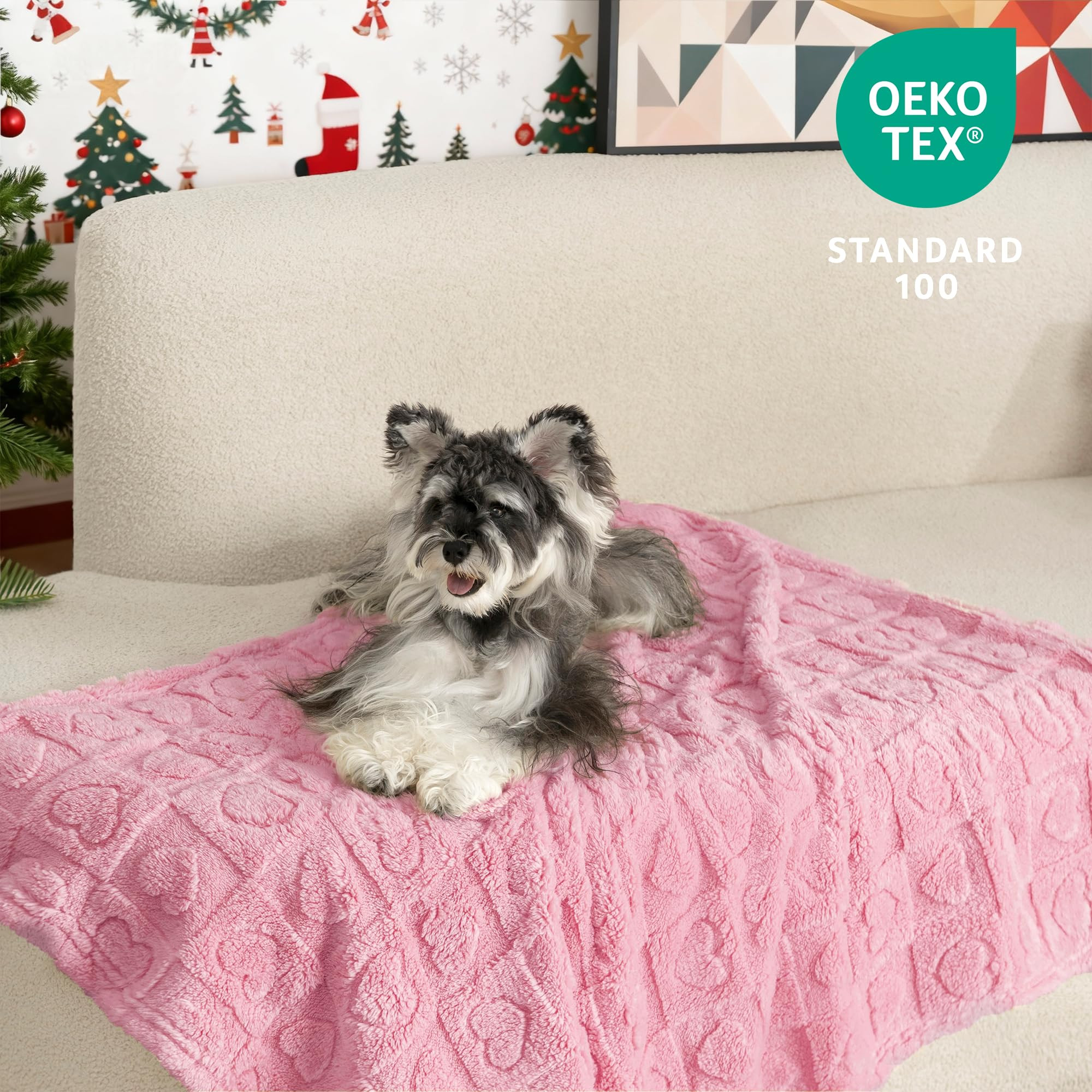 gogobunny Calming Plush Dog Cat Blanket 300GSM Coral Fleece, Ultra-Soft Machine Washable Pet Bedd... | Amazon (US)