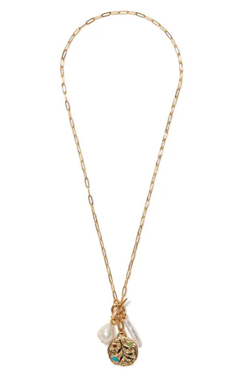 Lizzie Fortunato Campo Charm Necklace in Gold at Nordstrom | Nordstrom