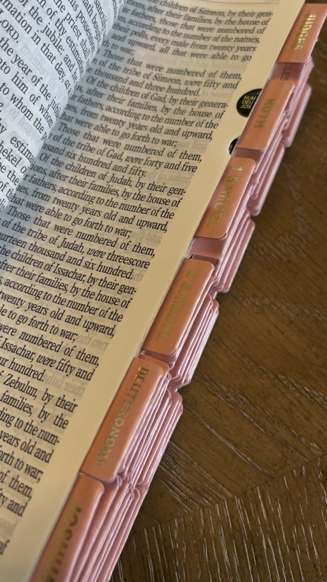 Amazon KJV pink Holy Bible 
Pink and gold Bible tabs
Affordable 
Bible Study

#LTKSeasonal #LTKHome #LTKFindsUnder50