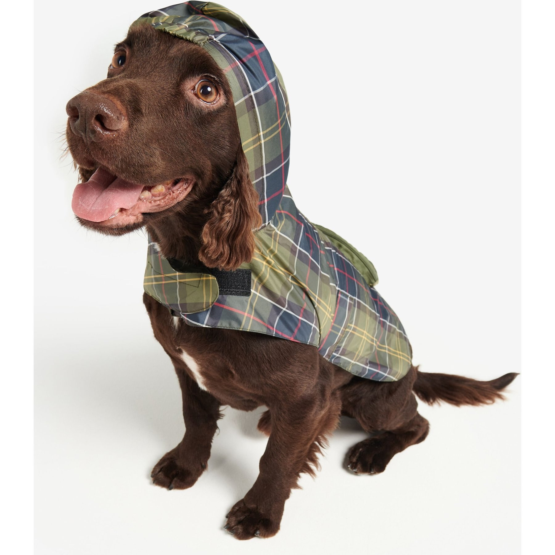 Barbour Packable Tartan Dog Raincoat, Medium | Chewy