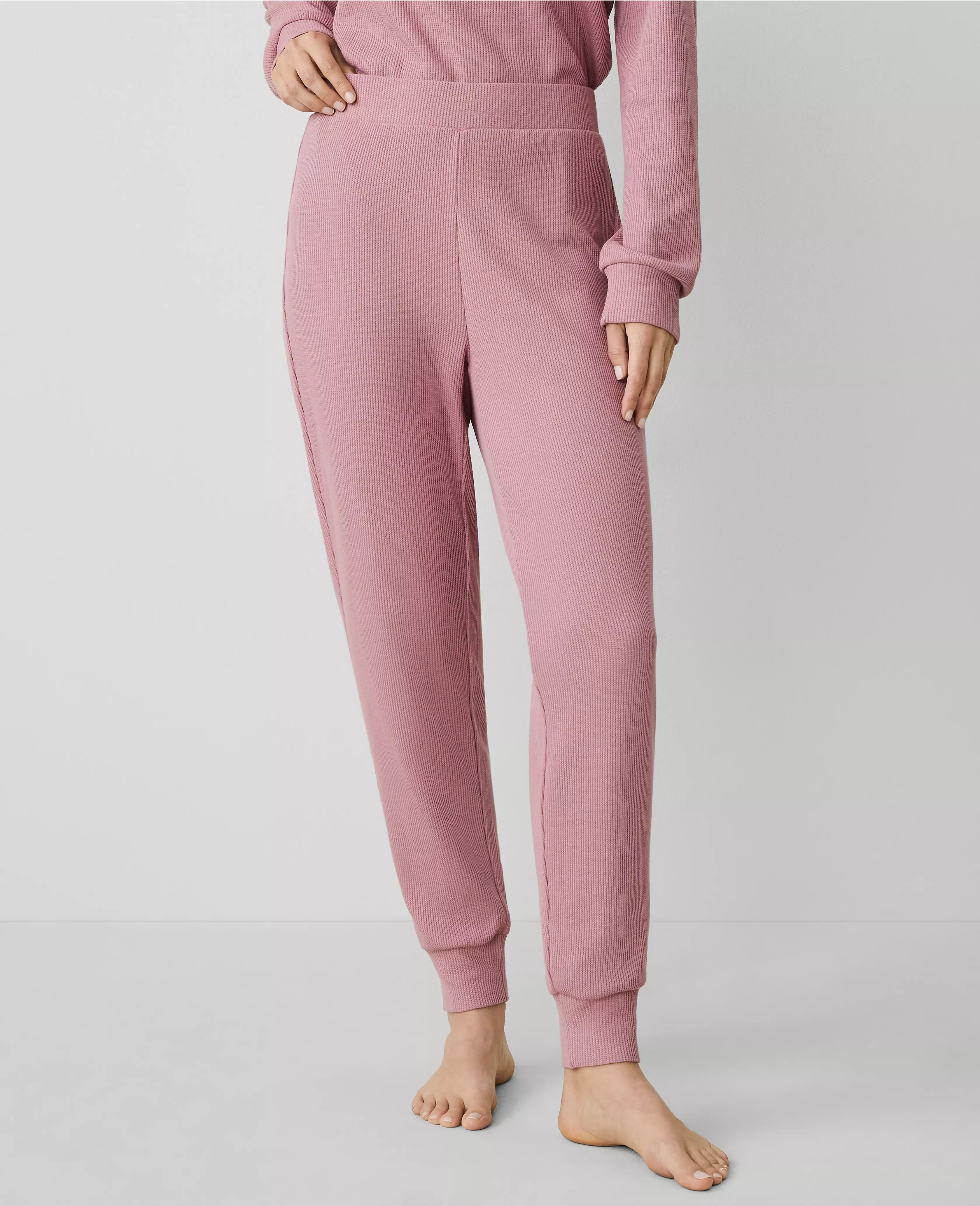 Waffle Lounge Jogger | Ann Taylor (US)