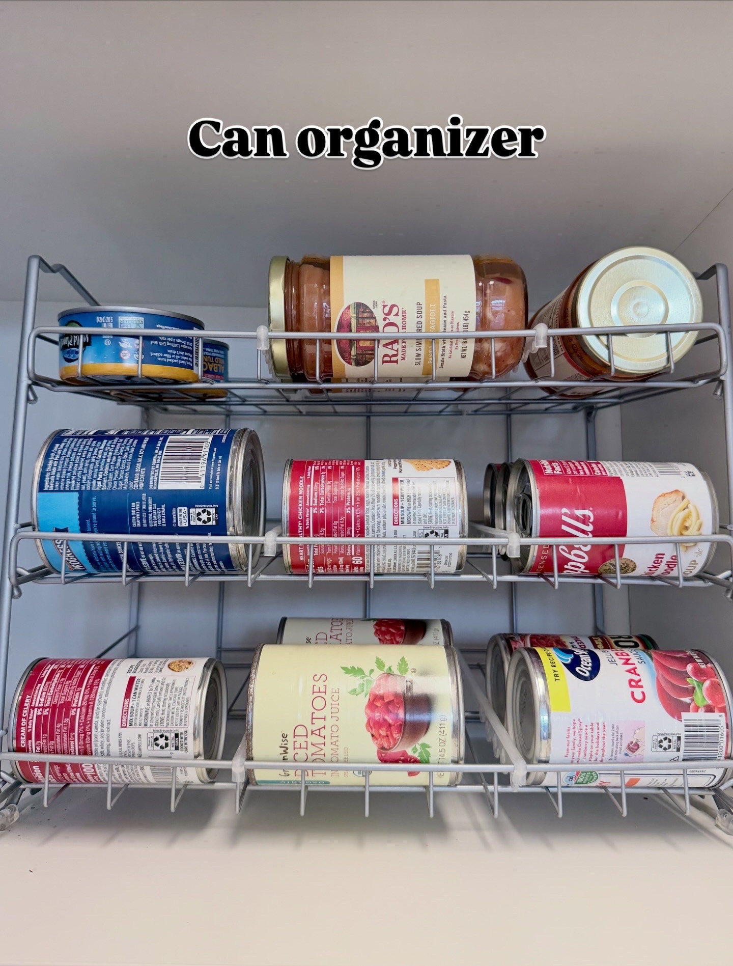 The perfect organizer for cans and jars! 🫙 

#LTKFindsUnder100 #LTKFindsUnder50 #LTKOver40