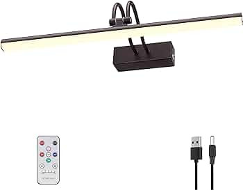 Picture Light, 16in Battery Picture Lights for Paintings,Metal Display Art Light with Timer and D... | Amazon (US)