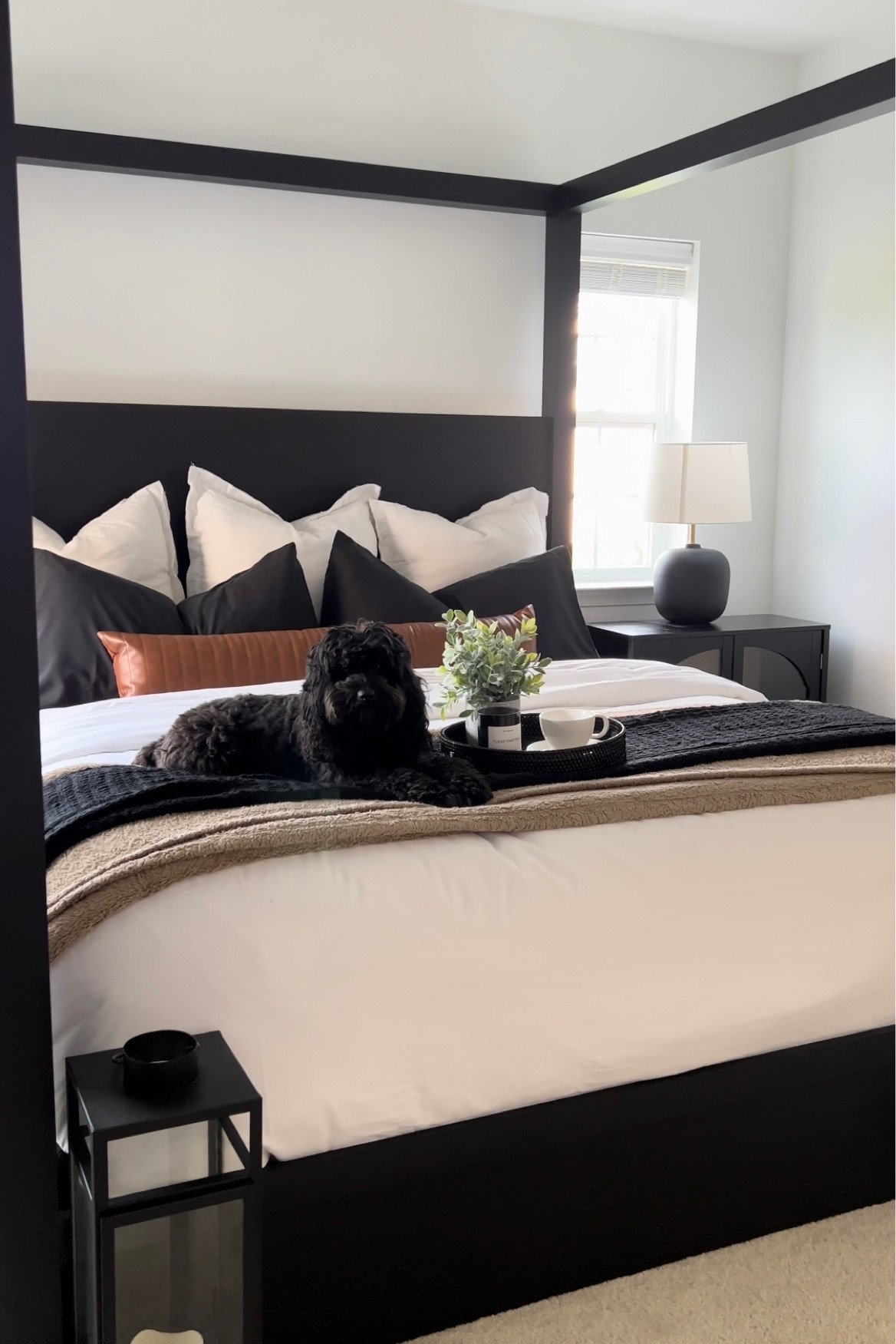 Link to brown pillow! 