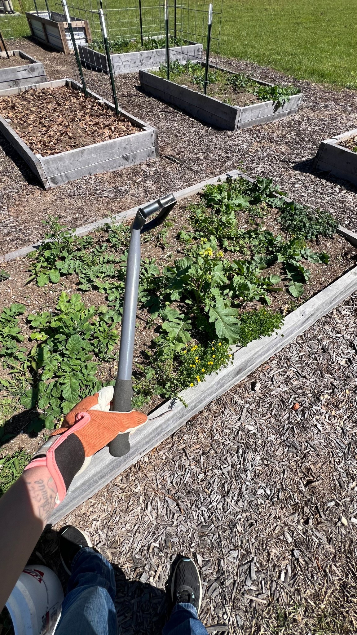 Favorite garden tools 👩🏼‍🌾🪴

#LTKFamily #LTKGiftGuide #LTKHome