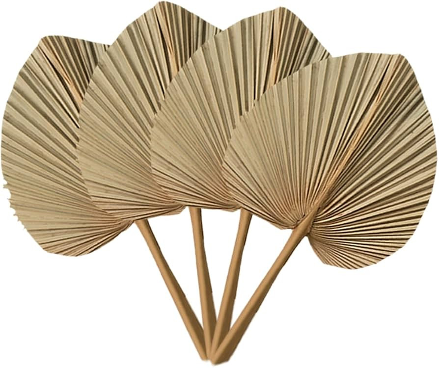 19.1x11 Extra Large Natural Trimmed Dried Palm Leaves, Dried Palm Spear, Home Boho Wedding Decor,... | Amazon (US)