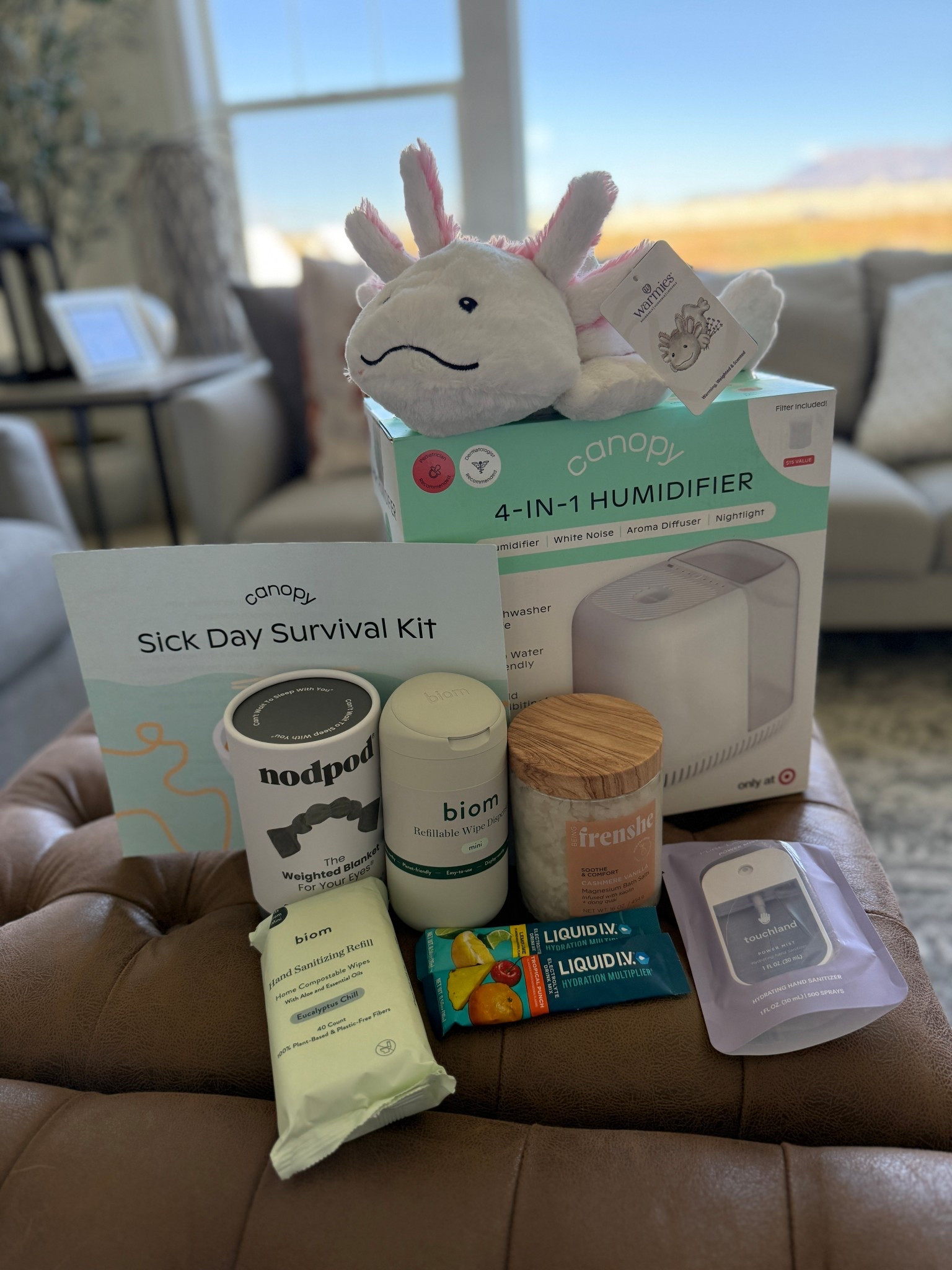 Sick day survival kit

#sick #coldandfluseason #survivalkit #canopy #targetfinds #target #warmies #touchland #frenshe #nodpod #biome #liquidiv 

#LTKGiftGuide #LTKKids #LTKFamily