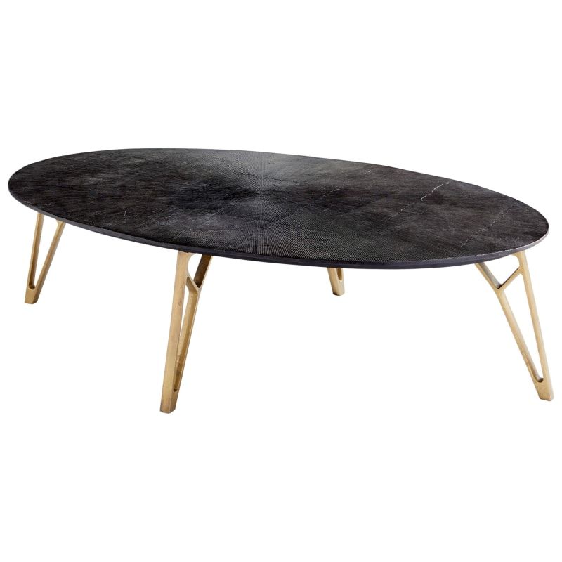 Cyan Design 09711 Arca 57" Long Aluminum Coffee Table Brass / Black Indoor Furniture Tables Coffee | Build.com, Inc.